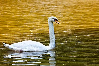 《鬼屋魔影：重制版》全新预告 热情的居民欢迎你